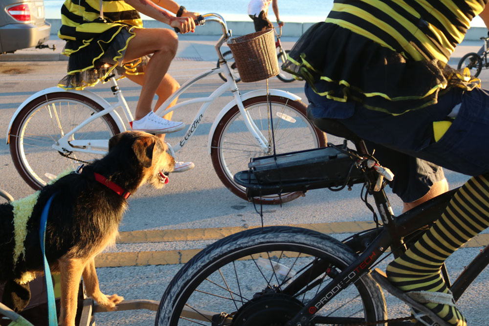 Zombie Bike Ride 2018 photo - Duval Street, Key West